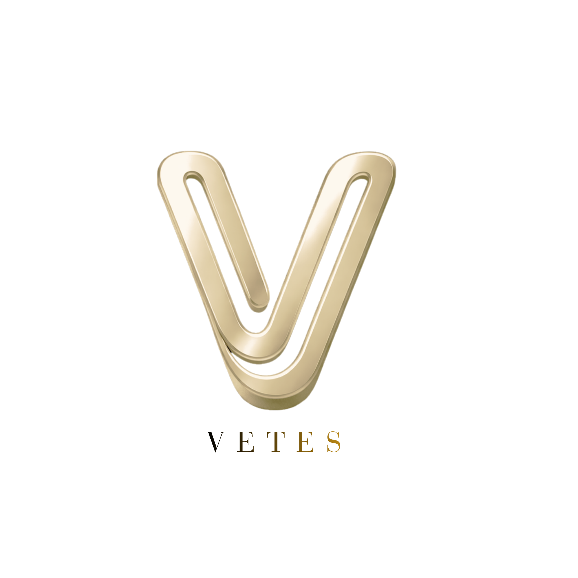VETES Logo